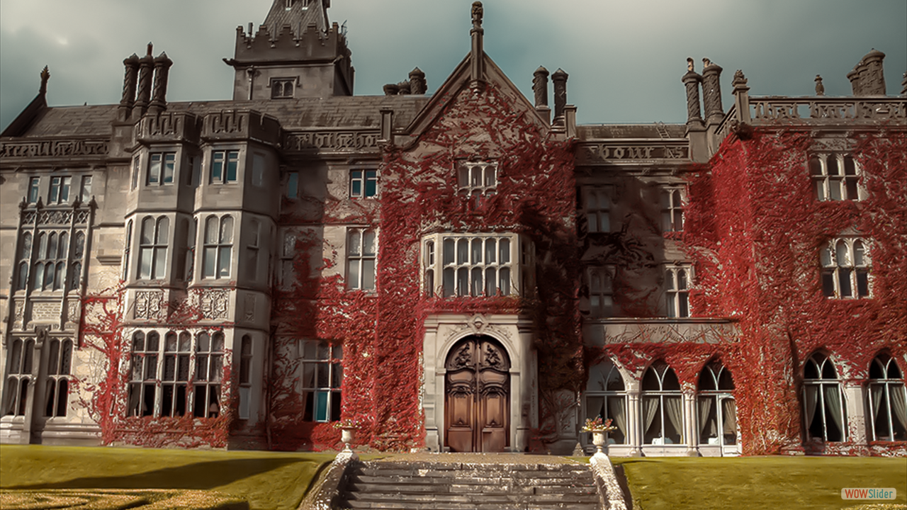 Mansion front view